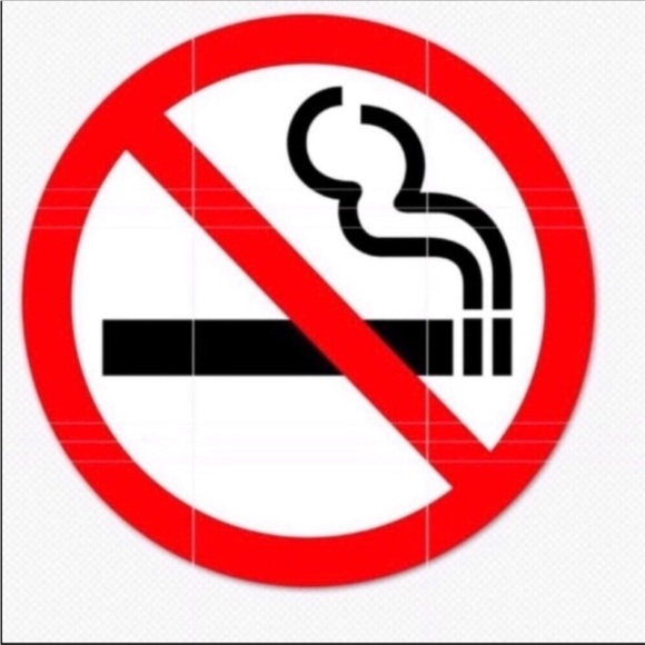 CHOOZE Scout Roar blue slip ons with orange and yellow dinosaurs - Picture 8 of 8